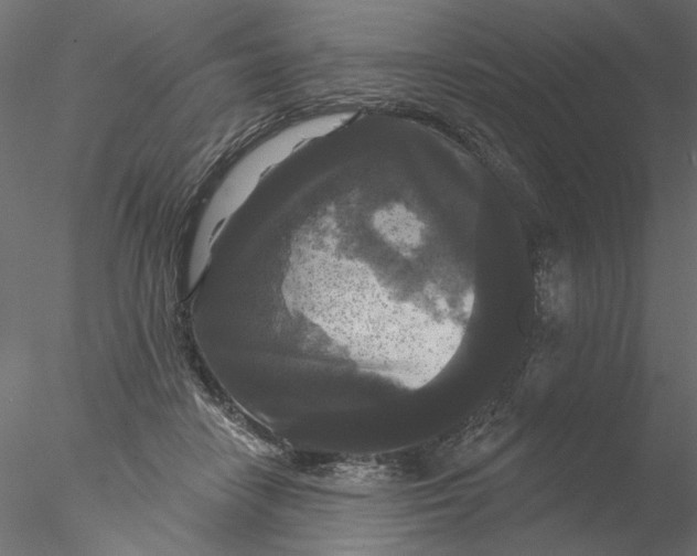 X0000076380458200611031634