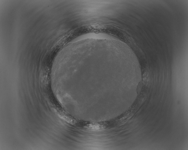 X0000076380464200611031634