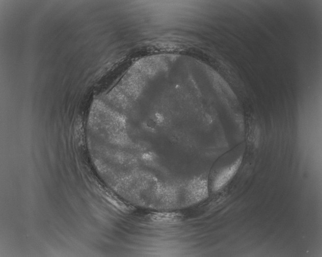 X0000076380465200611031634