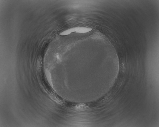 X0000076380468200611031634