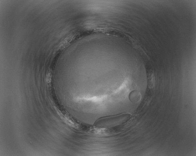 X0000076380472200611031634