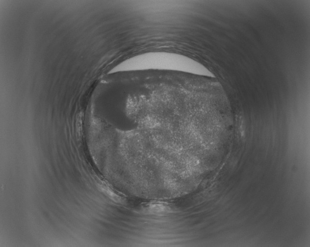 X0000076380475200611031634