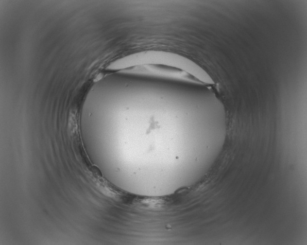 X0000076380478200611031634