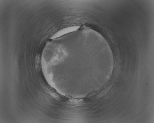 X0000076380480200611031634