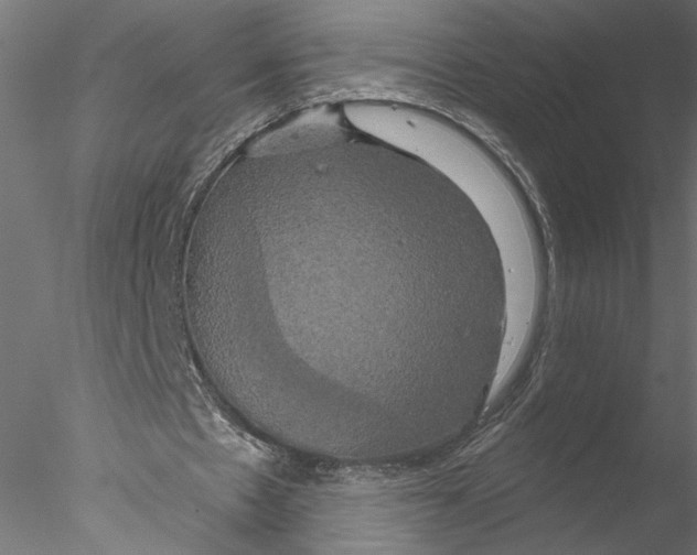 X0000076380481200611031633