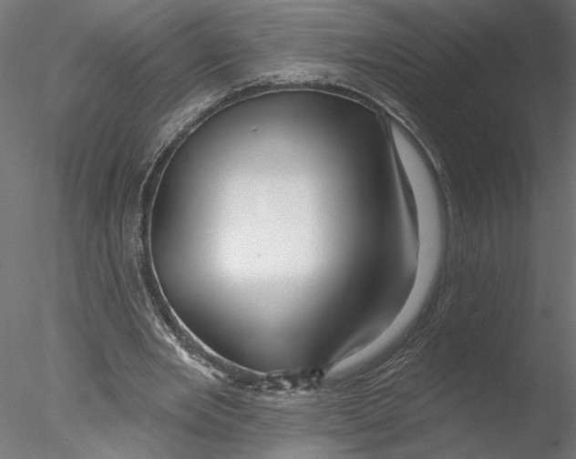 X0000076380485200611031633