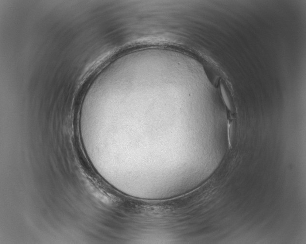 X0000076380486200611031633