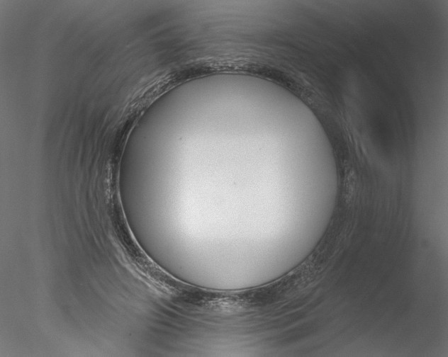 X0000076380498200611031633