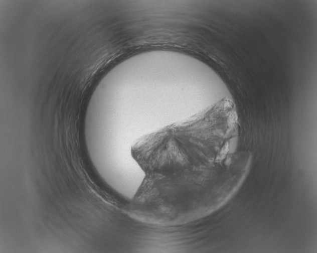 X0000076380499200611031633