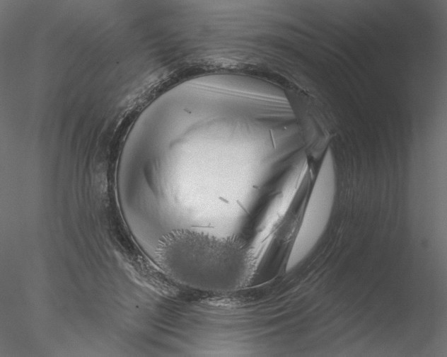 X0000076380500200611031633