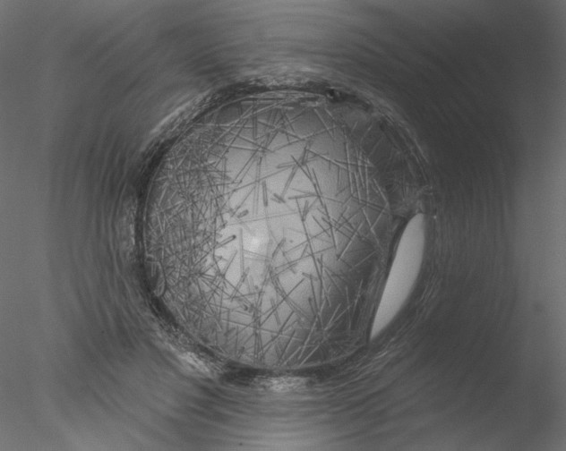 X0000076380501200611031633