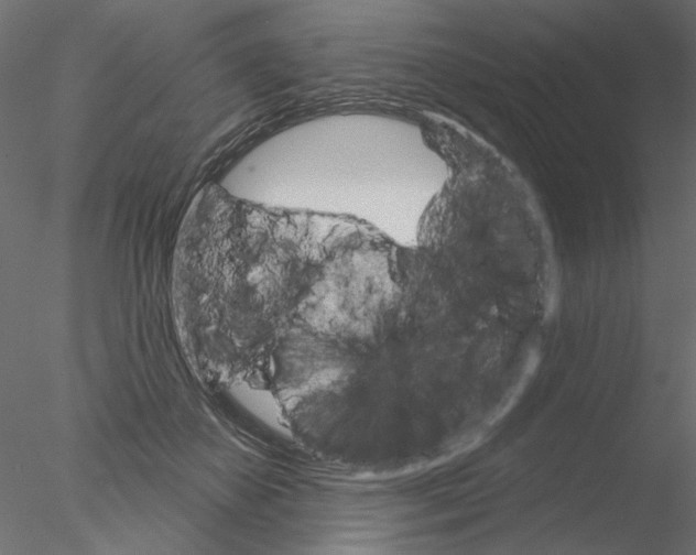 X0000076380507200611031633