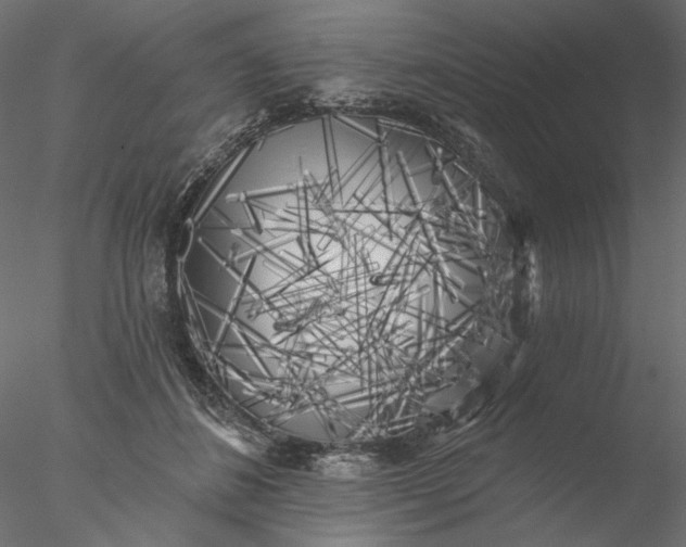 X0000076380508200611031633