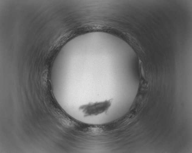 X0000076380509200611031633