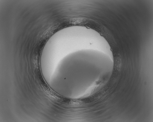 X0000076380510200611031633