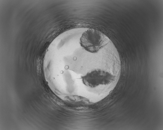 X0000076380511200611031633