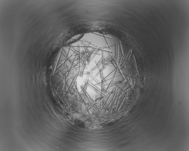 X0000076380512200611031633