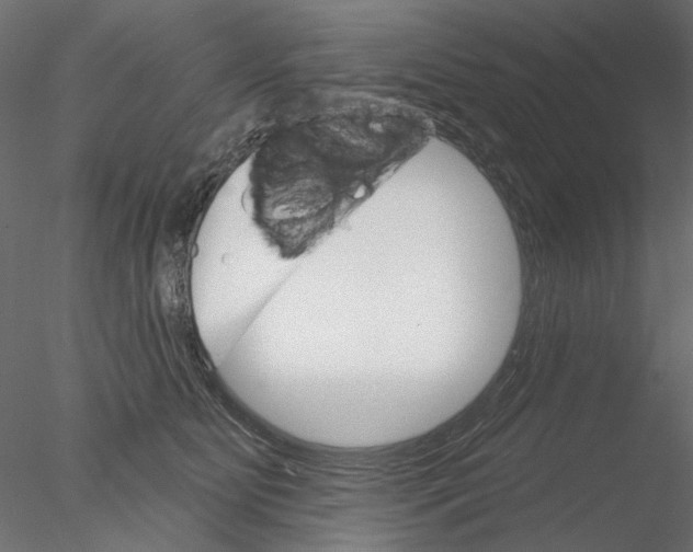 X0000076380515200611031633