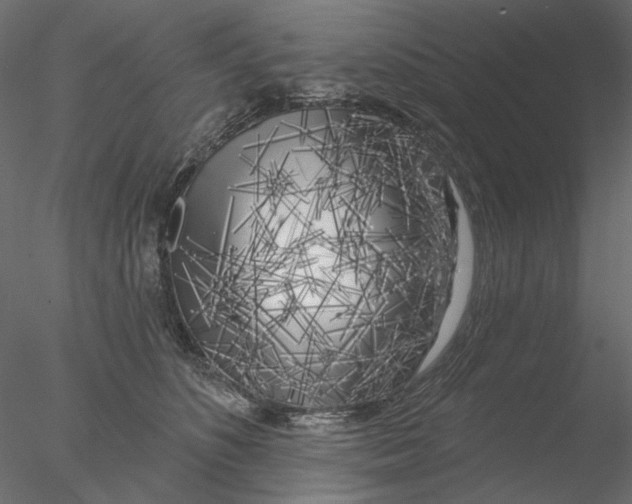 X0000076380516200611031633