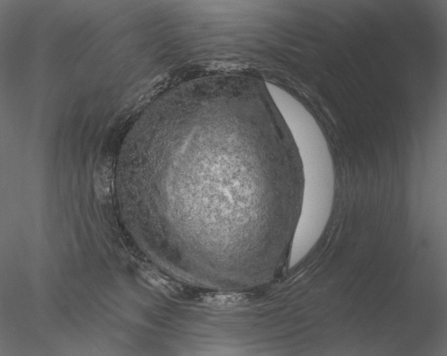 X0000076380517200611031633