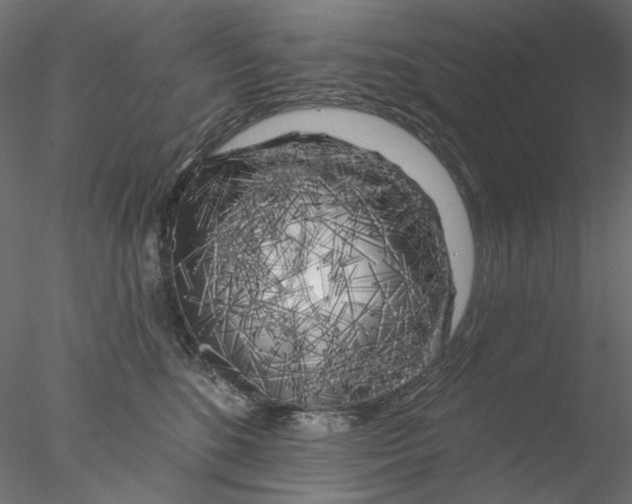 X0000076380520200611031633