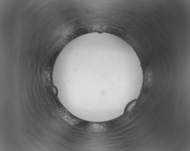 X0000076380522200611031633