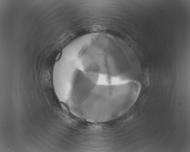 X0000076380523200611031633