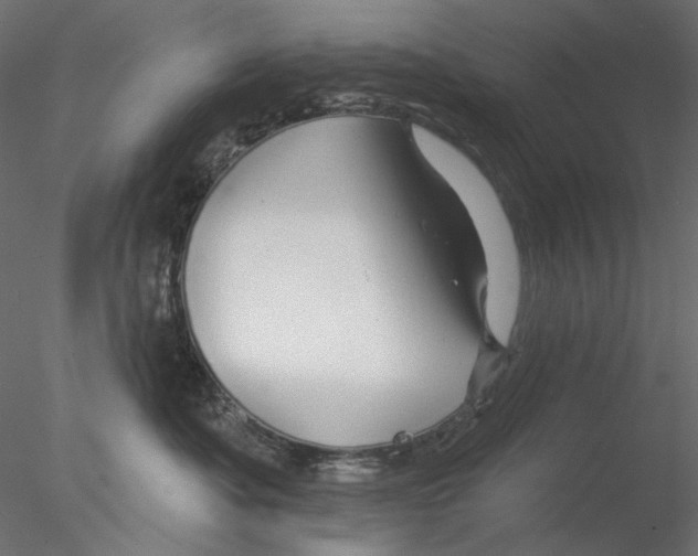 X0000076380525200611031632