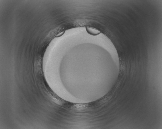 X0000076380526200611031632