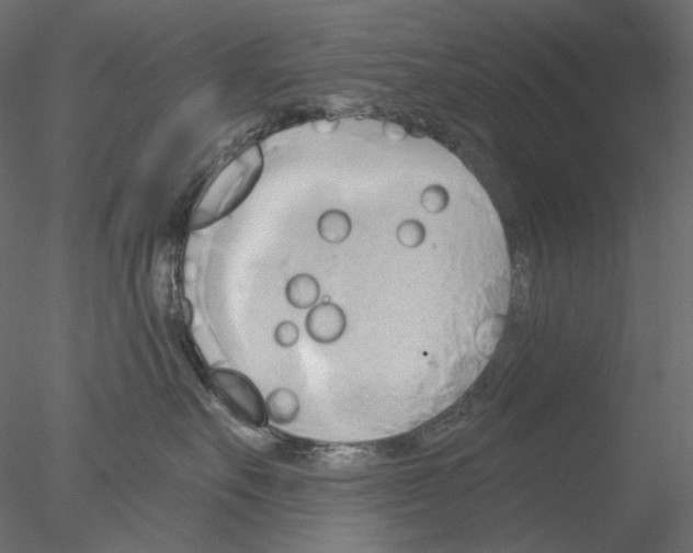 X0000076380527200611031632