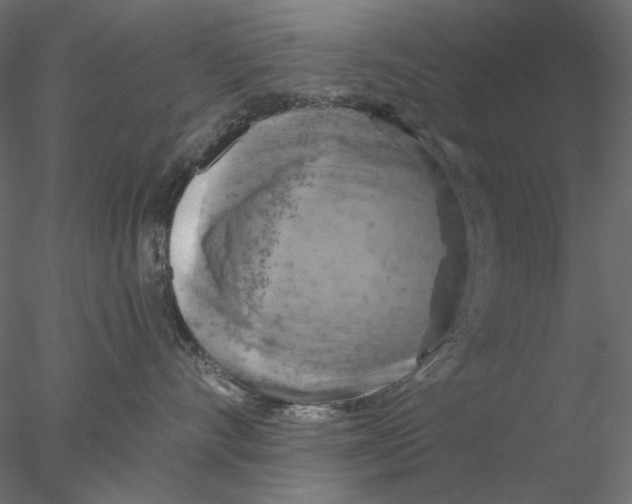 X0000076380528200611031632