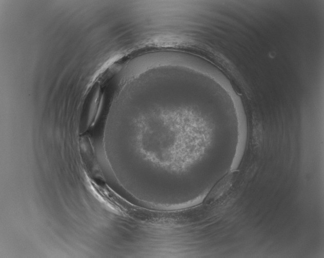 X0000076380530200611031632