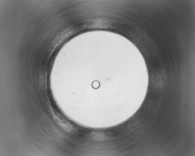 X0000076380534200611031632