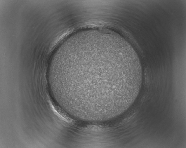 X0000076380538200611031632