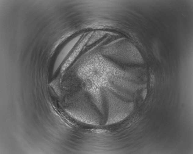 X0000076380539200611031632