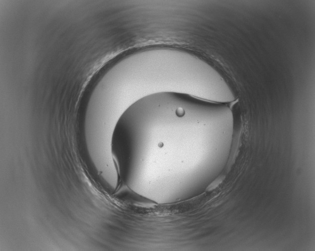 X0000076380540200611031632