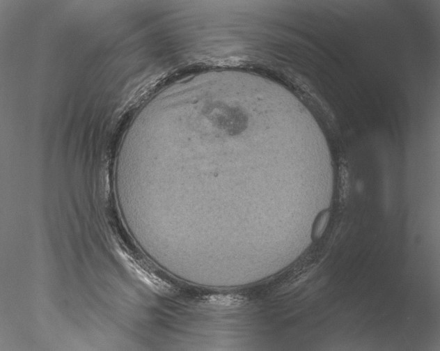 X0000076380541200611031632