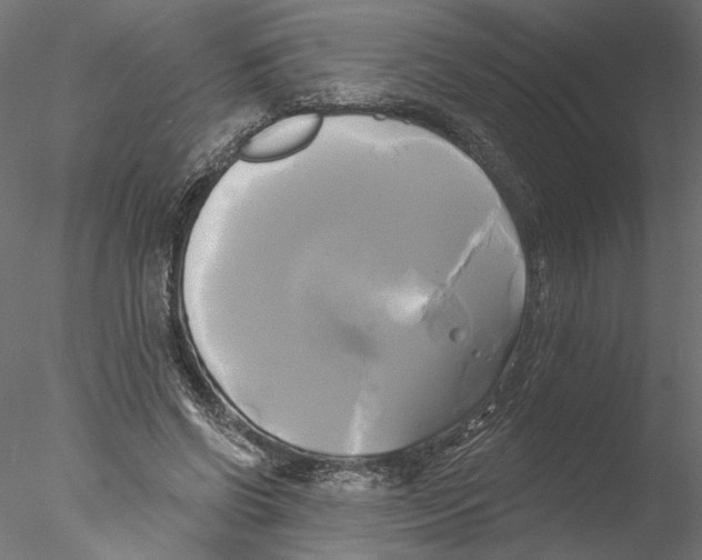 X0000076380542200611031632