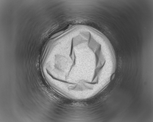 X0000076380545200611031632