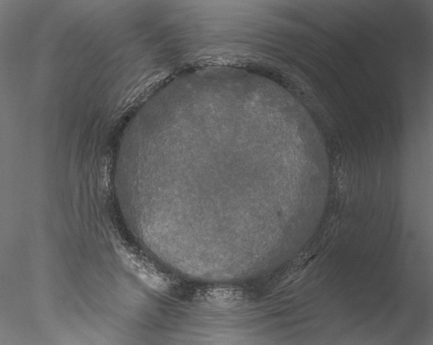 X0000076380546200611031632