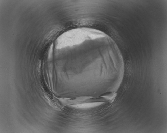 X0000076380550200611031632