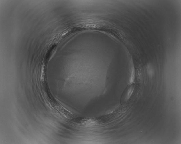 X0000076380551200611031632