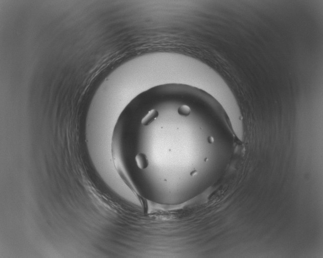 X0000076380552200611031632