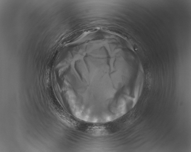 X0000076380554200611031632