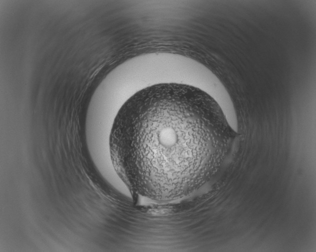 X0000076380560200611031632