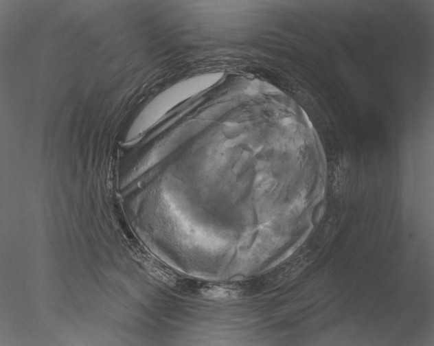 X0000076380561200611031632