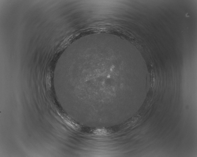 X0000076380562200611031632