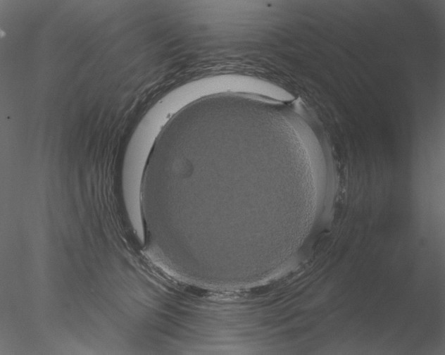 X0000076380563200611031632