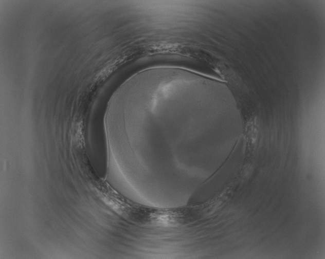 X0000076380564200611031632