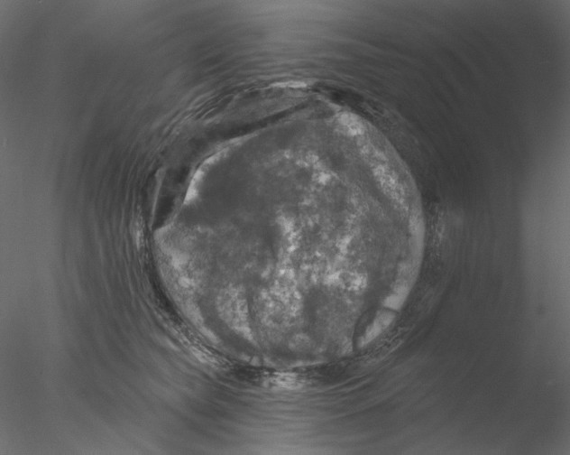 X0000076380565200611031632